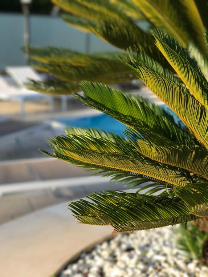 Path House - Etna & Sea View Aparthotel Riposto Exterior photo